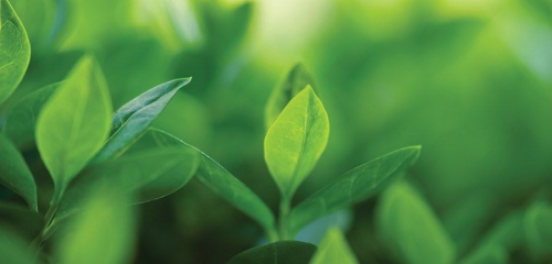 Monitoring količine biogoriva